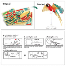 Load image into Gallery viewer, 3D Metal Puzzle -Scarlet Macaw with Acrylic Stand DIY Model Kits Assemble Jigsaw Toy Desktop Decoration GIFT For Adult